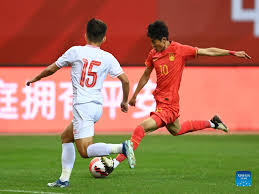 国内的